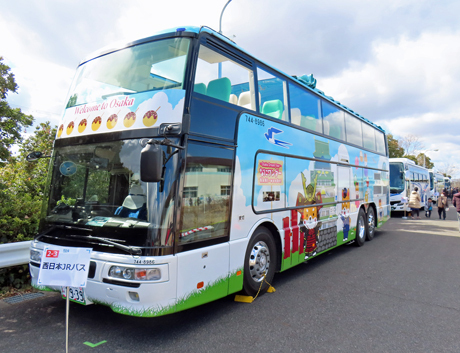 250224_kobeshiko11.jpg